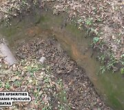 Klaipėdoje susemta nepilnamečių guja