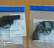 Skaudalių kaimo gyventojo namuose rasti ginklai