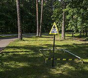 Erkių instaliacijos 