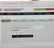 pseudorinkimai1