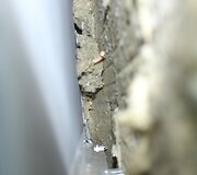 Marijampolės daugiabučio gyventojai skundžiasi prasta renovacijos darbų kokybe