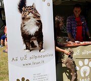 Festivalyje &bdquo;Bliuzo naktys&ldquo; 