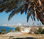 Izraelis