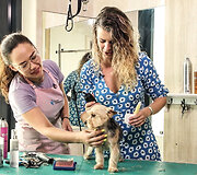 &bdquo;Dog and Cat Butique &ndash; Luxury SPA&ldquo; salone