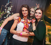 Vakarėlio akimirka