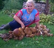 Birutė Arnasienė