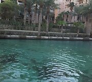 Kelionės Dubajuje akimirka
