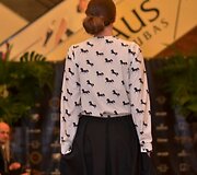 Kolekcijos modelis