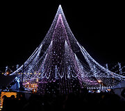 Vilniaus Kalėdų eglė