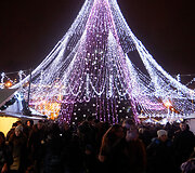 Vilniaus Kalėdų eglė