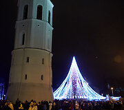Vilniaus Kalėdų eglė