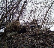 Ukrainos fronto linijoje