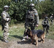 Ukrainos specialiųjų pajėgų kariai ir jų vilk&scaron;unis