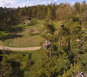 Bitėnų gandrų kolonija