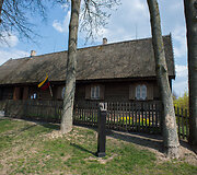 Ąžuolyno diena