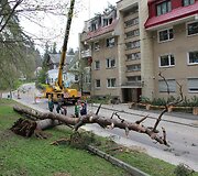 Pu&scaron;is apgriovė vilniečių namą