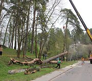 Pu&scaron;is apgriovė vilniečių namą