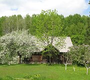 Zarasų gimnazistų nusiaubta kaimo turizmo sodyba