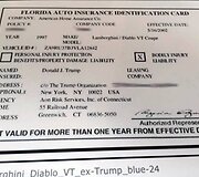 Nuosavybės dokumentai, kuriuose matosi ir Donaldo Trumpo pavardė
