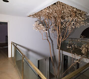 Fotografas užfiksavo turtuolių apleistas vilas