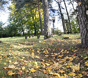 Vir&scaron;uli&scaron;kių kapinės