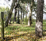 Vir&scaron;uli&scaron;kių kapinės