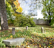Vir&scaron;uli&scaron;kių kapinės