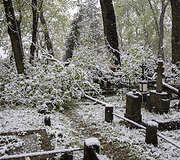 Bernardinų kapinėse audra i&scaron;vartė medžius
