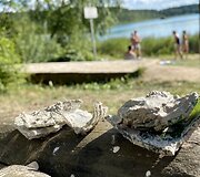 Itin populiarus Gėlos ežeras &scaron;alia Vilniaus slepia pavojus