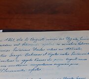 Įra&scaron;as Palėvenės bažnyčios mertikų knygoje