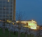 Sakurų žydėjimas Vytauto &Scaron;auklio kadruose