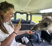 Safari parkas netoli Anyk&scaron;čių