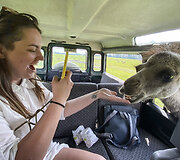 Safari parkas netoli Anyk&scaron;čių