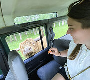Safari parkas netoli Anyk&scaron;čių