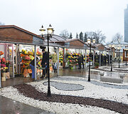 Kovo 8-ąją, kai minima tarptautinė moters diena, pagyvėjo prekyba gėlėmis