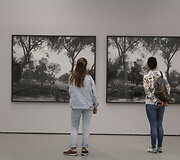Parodos &bdquo;Laukų ir mi&scaron;kų pozityvai&ldquo;