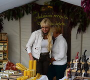 Vilniuje prasidėjo &bdquo;Sostinės dienos 2016&ldquo;