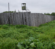 Permė
