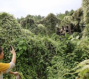 Turistų mėgstamas senovinis kaimas Kinijoje, virtęs natūralia &bdquo;pasaka&ldquo;