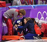 Sportininkų nesėkmės žiemos olimpinėse žaidynėse Pjongčange