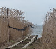 Kur&scaron;ių marios