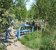 Kapinės