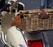 Lietuvos &bdquo;Vespa&ldquo; klubo vasaros sezono atidarymas, 2015