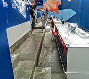 Kazanėje vykstančiame pasaulio plaukimo čempionate prakiuro stadiono stogas