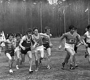 Romas Sausaitis