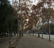 Mindaugo &Scaron;atkaus bėgimas Barselonoje