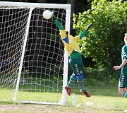 Vilniaus futbolo savaitė