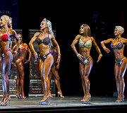 &bdquo;Vilnius NAC Cup Open&ldquo;