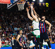 Ignas Brazdeikis