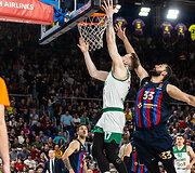 Ignas Brazdeikis